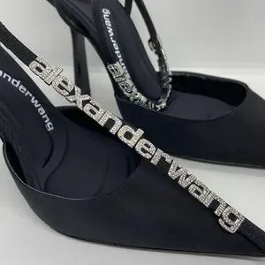 Alexander Wang | Shoes | Alexander Wang Delphine Pump 377